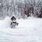 Intermediate Backcountry Snowmobile Tour